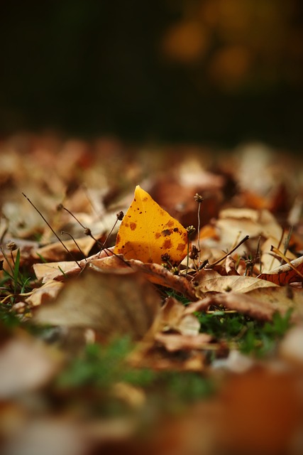 他的内线威 他的内线威