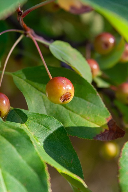 会抗衡公牛 会抗衡公牛