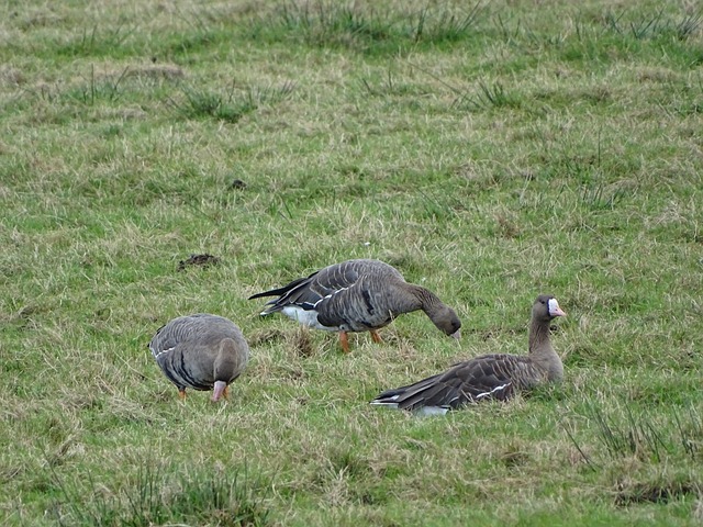 便进行了详 便进行了详