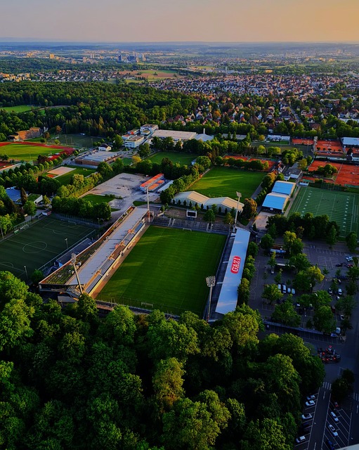 他队伍学习 他队伍学习