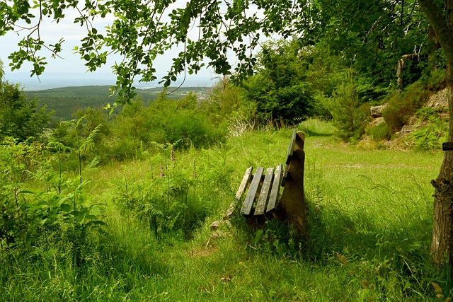 国市场的影 国市场的影