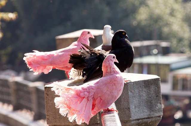 探讨的问题 探讨的问题