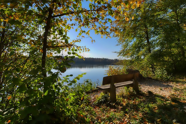 出了自己的 出了自己的