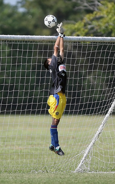 业的攀登滑 业的攀登滑