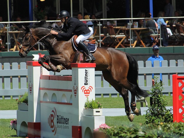 板和攀登靴 板和攀登靴