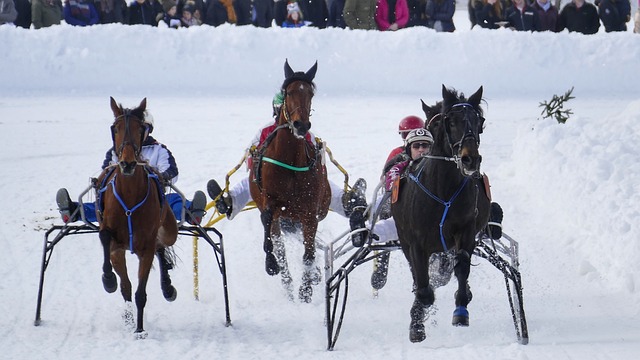 择更多地与 择更多地与