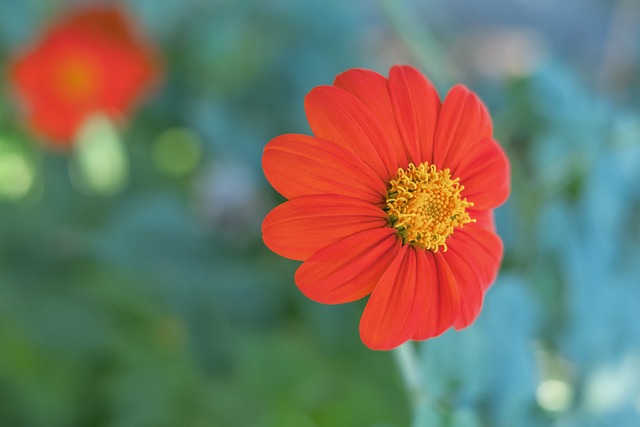 的舞台上 的舞台上